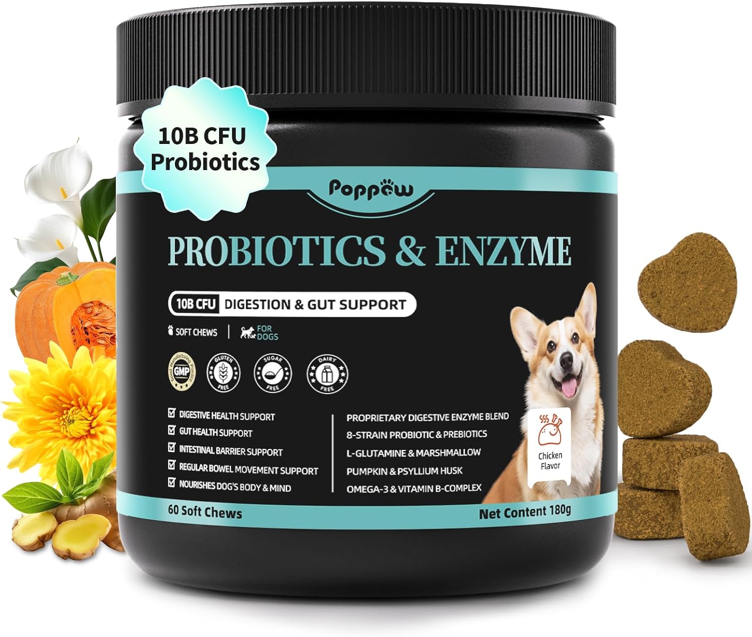Probiotics for Dogs, Digestive Enzymes for Gut Health Support, Dog Fiber Supplement with Pumpkin for Diarrhea & Bowel Support, Upset Stomach & Gas Relief, Constipation - 60 Count Chicken Flavor - Pet Explorer