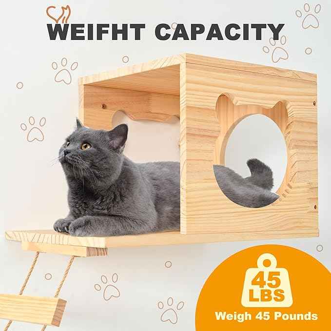 Cat Wall Shelves and Perches, Pine Wooden Cat Wall Furniture Climbing Shelves with Climber, Condo, Scratching Post, Ladder & Platform