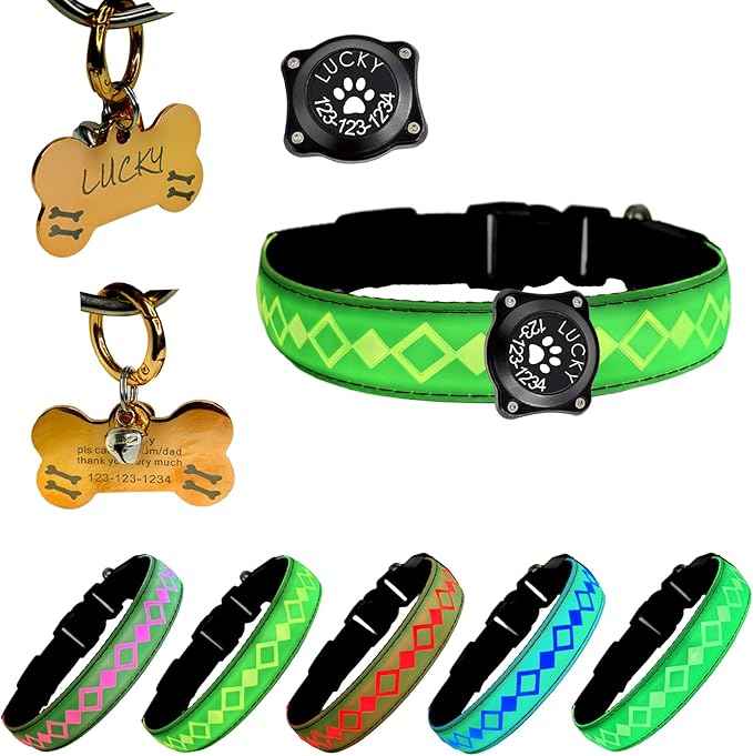 LED Dog Collar with AirTag Holder and Custom ID Tag, 15 Light Modes, Waterproof, Multiple Colors (GREEN, L(15.7-19.7"))