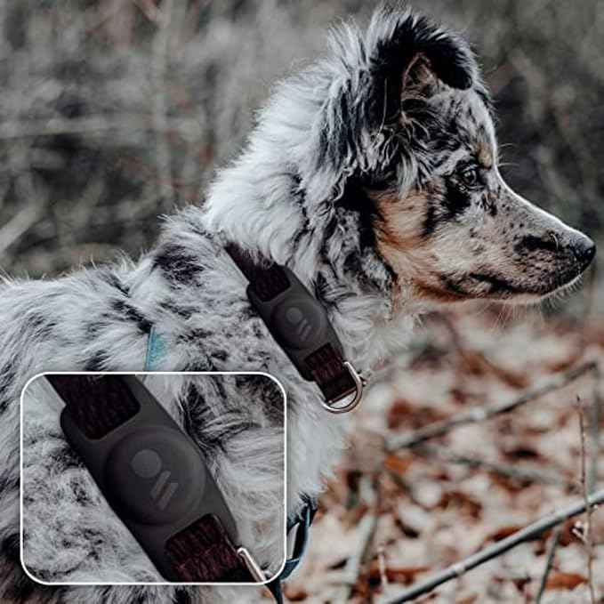 Case-Mate Airtag Dog Collar Holder - Durable, Water Resistant, Lightweight, and Protective Airtag Holder Tag - Easy to Insert Pet Collar Air Tag Loop - Compatible with Cat / Dog Collars - Black