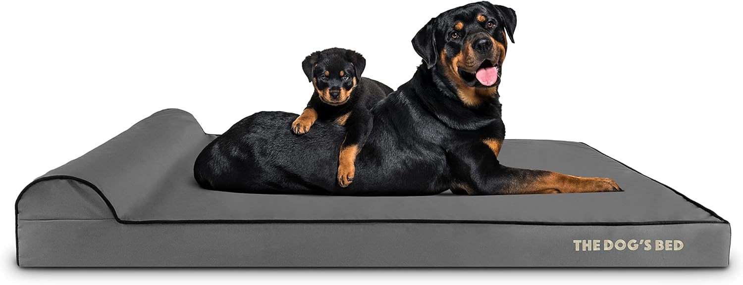 The Dog’s Bed Orthopedic Headrest Dog Bed XXL Grey/Black 54x36, Memory Foam, Pain Relief for Arthritis, Hip & Elbow Dysplasia, Post Surgery, Lameness, Veterinary Approved, Waterproof Washable Cover - Pet Explorer