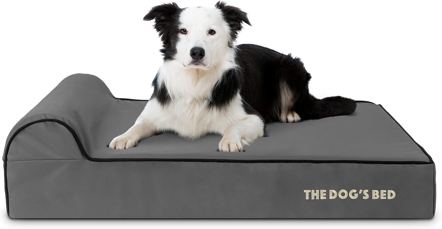 The Dog’s Bed Orthopedic Headrest Dog Bed Large Grey/Black 40x25, Memory Foam, Pain Relief: Arthritis, Hip & Elbow Dysplasia, Post Surgery, Lameness, Veterinary Approved, Waterproof Washable Cover - Pet Explorer