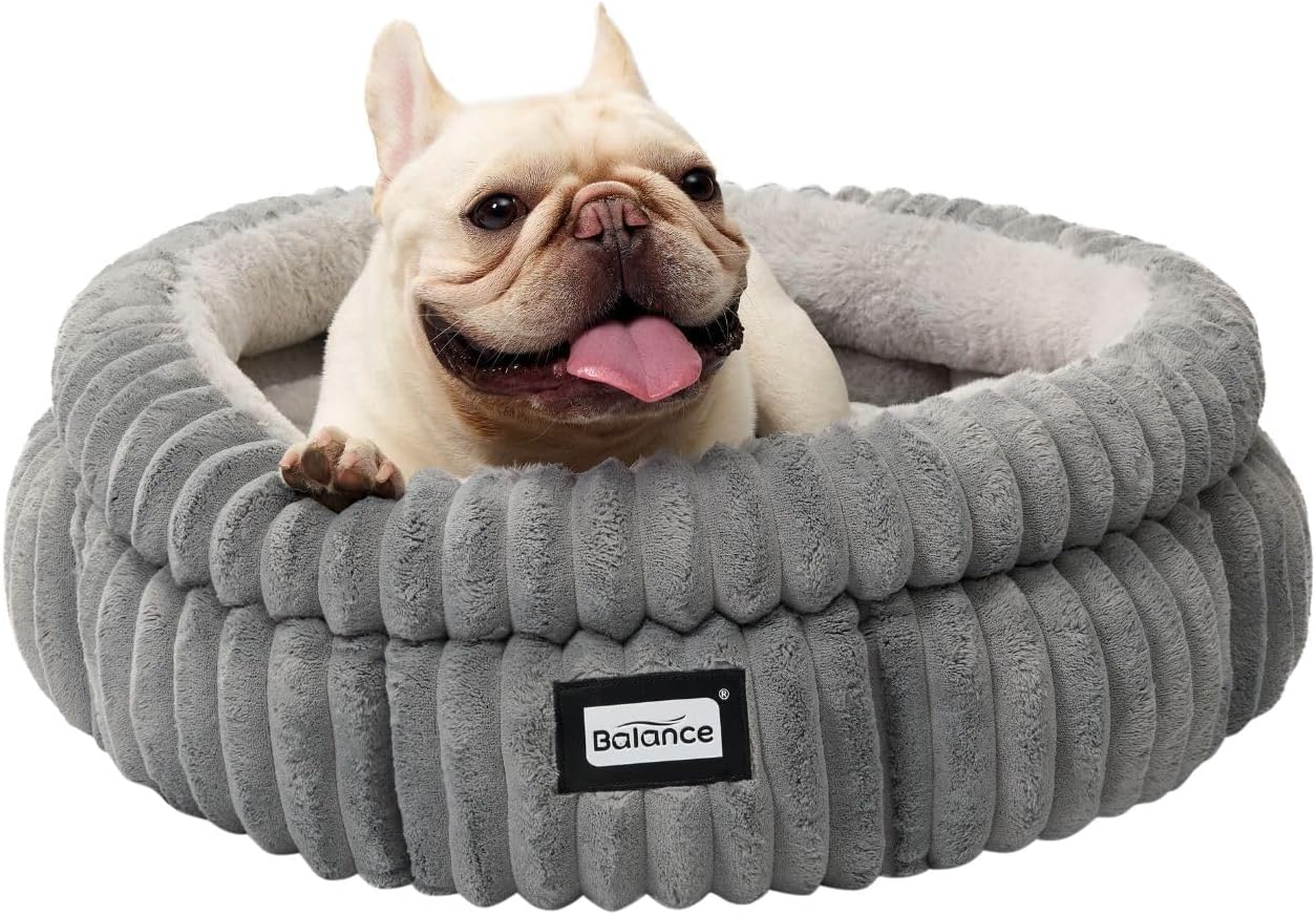 BALANCE Cat Bed Kitten Bed, Washable Round Cat Beds for Indoor Cats,Super Soft Plush Faux Fur Pet Bed for Puppy and Kitten with Anti-Slip Bottom - Pet Explorer