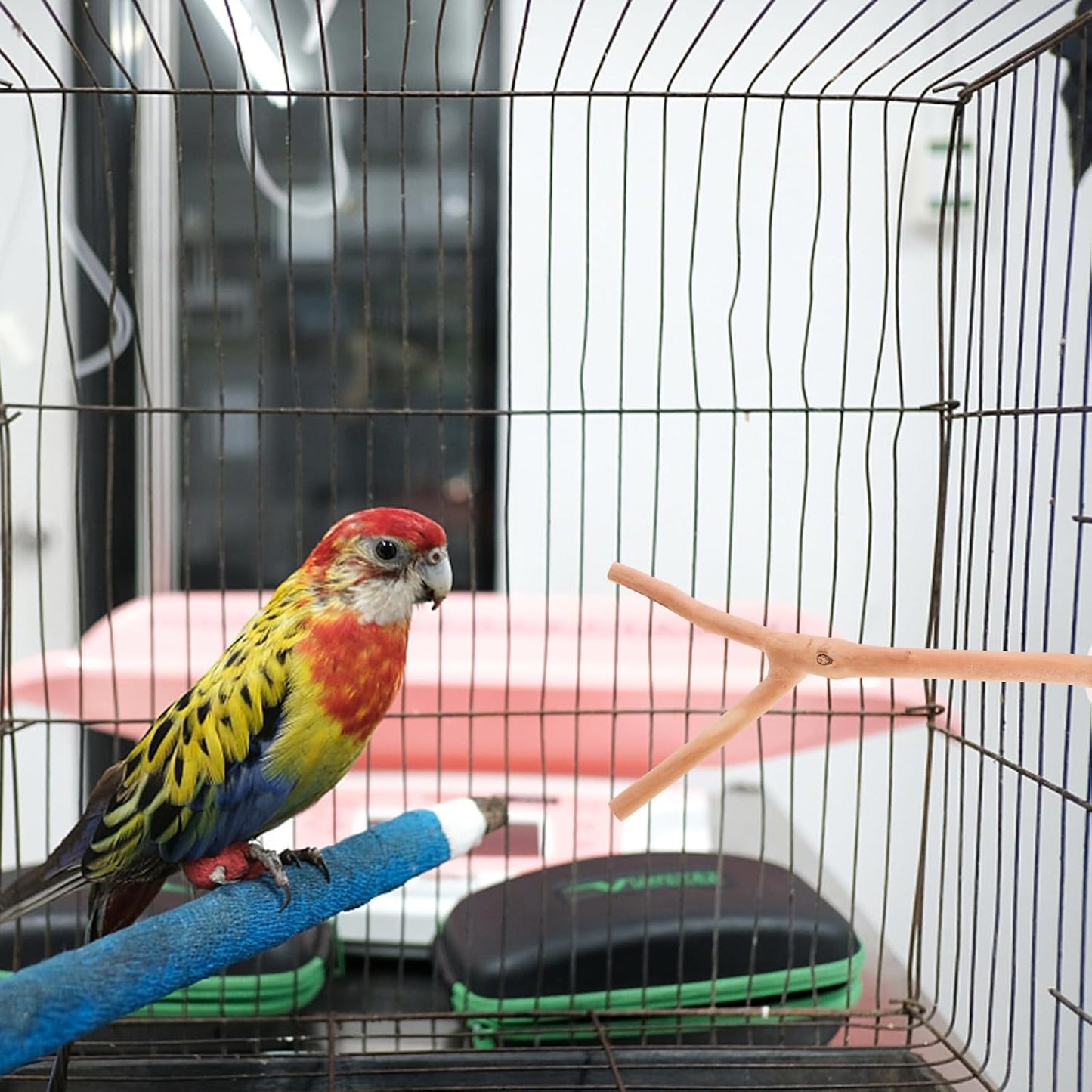 2pcs Bird Parrot Perch Stand Poles, Natural Wooden Parrot Perch for Cage, Branches Fork Rod for Small Parakeets Cockatiels Conure Lovebirds Bird Cage Accessories