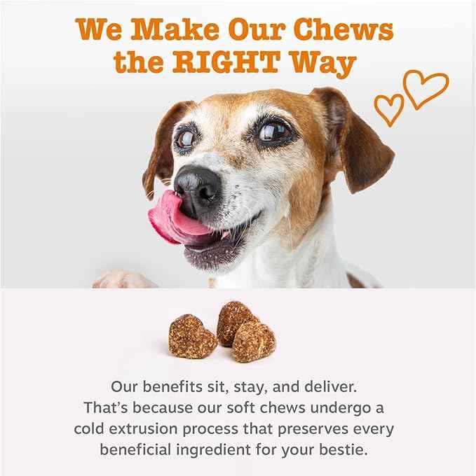 Zesty Paws Dog Allergy Relief Chews, Dog Probiotics for Itchy Skin and Ears, Lamb, 50ct