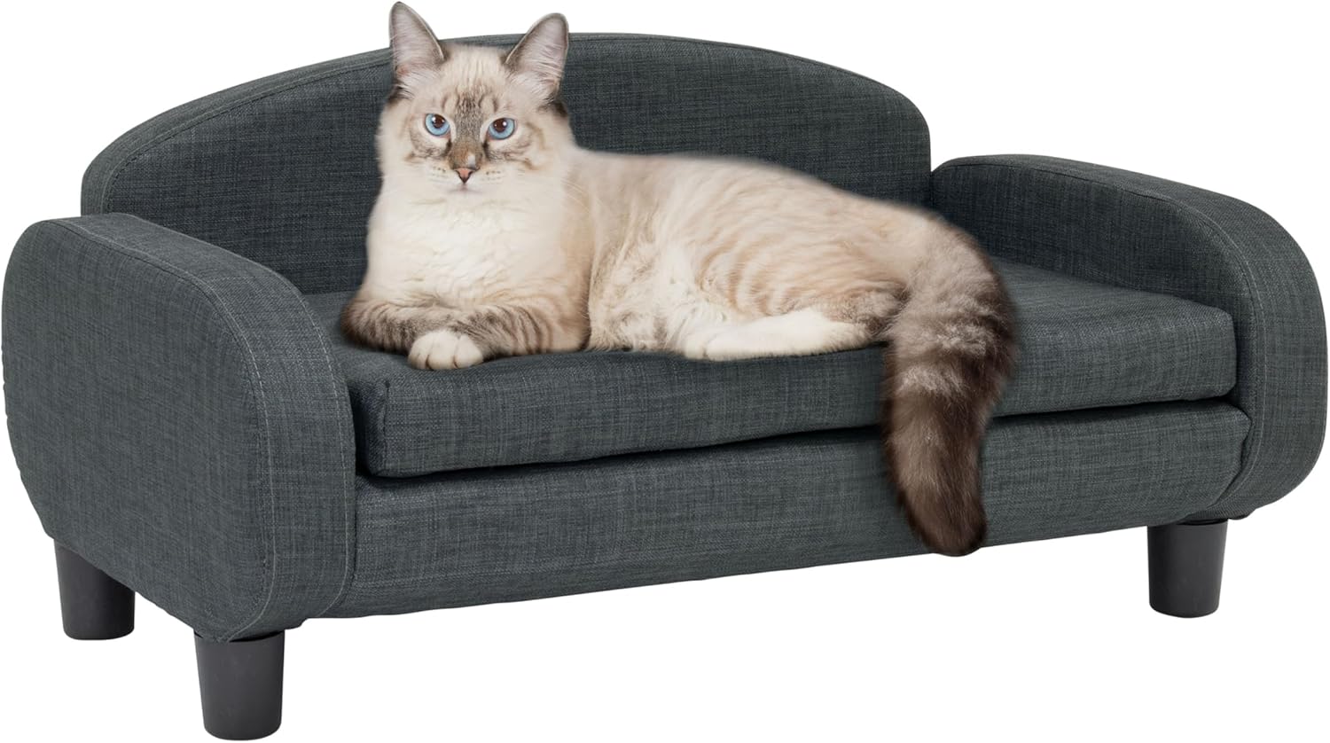 Paws & Purrs Cat Sofa Bed, Pet Couch for Indoor Cats Elevated Cat Beds with Removable Washable Mattress Cover for Kitten, Puppy or Small Animal- 31.5" Wide, Gray - Pet Explorer