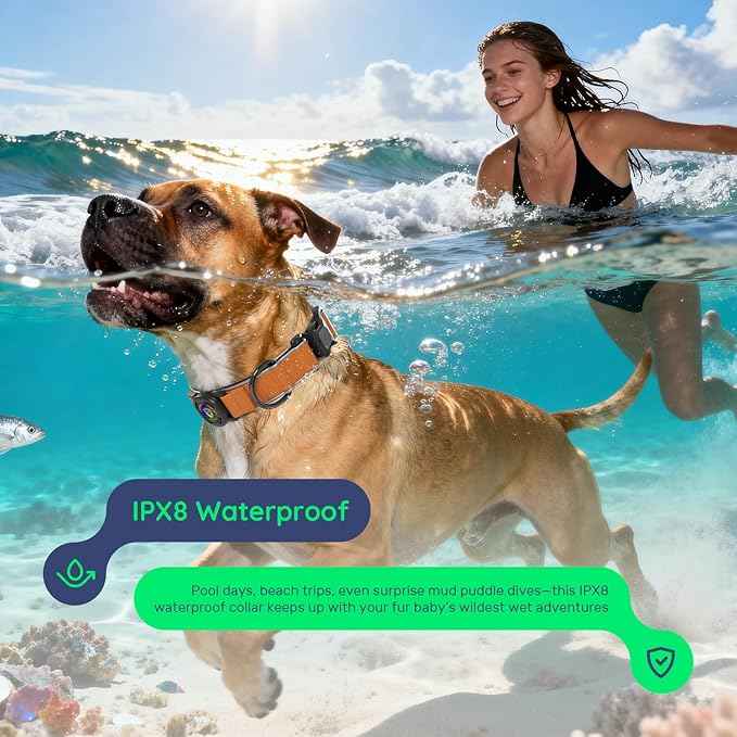 WhoseID Premium Leather Dog Collar - Waterproof AirTag Dog Collar | Magnetic Buckle Heavy Duty Collar | Medium Reflective Dog Collar with AirTag Holder