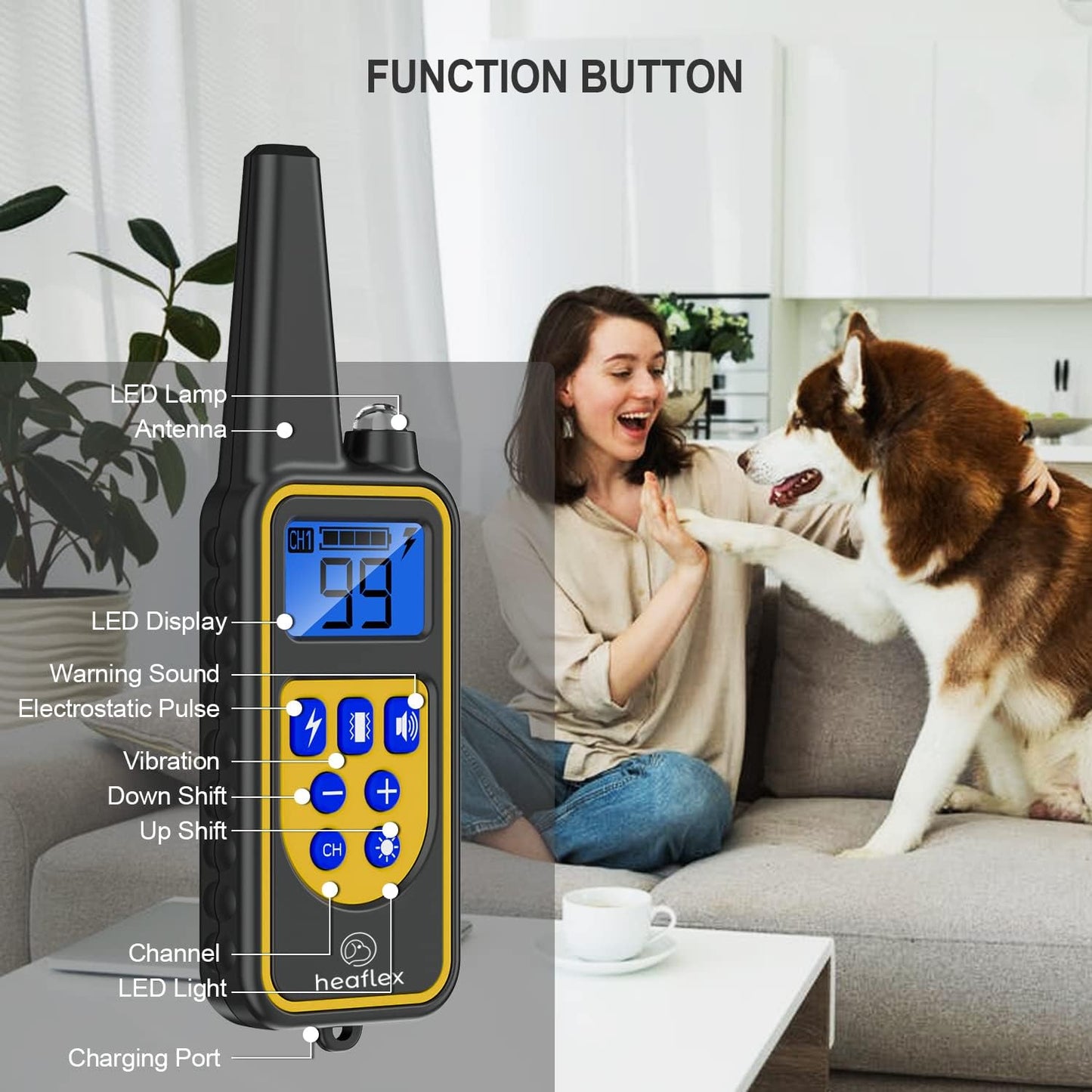 Electric Dog Training Collar with Remote 1640FT, E-Shock, Safe Training Modes, Rechargeable IP67 Waterproof Collars for 2 Dogs - Pet Explorer
