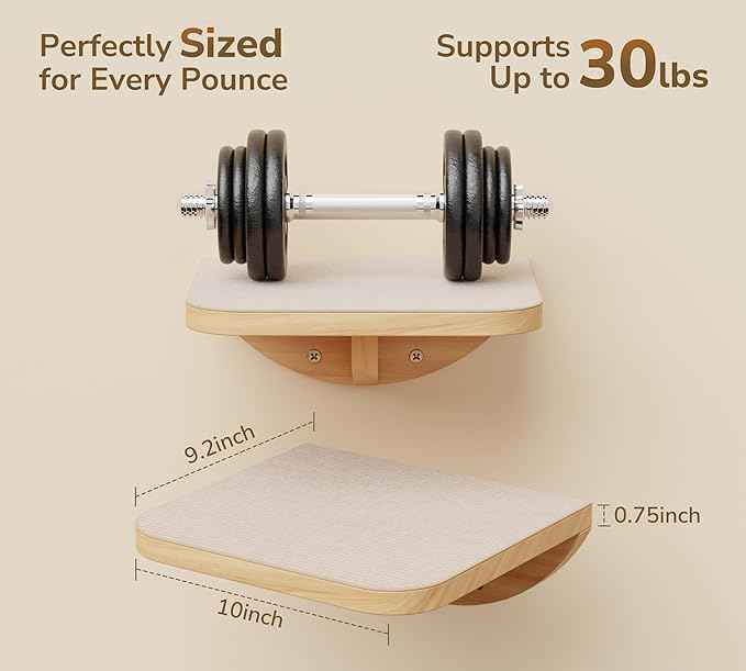 Cat Window Perches, Curved Cat Wall Beige Bed and 2 Floating Wall Steps, Wall Mounted Climbing Shelves for Sleeping, Playing, and Lounging