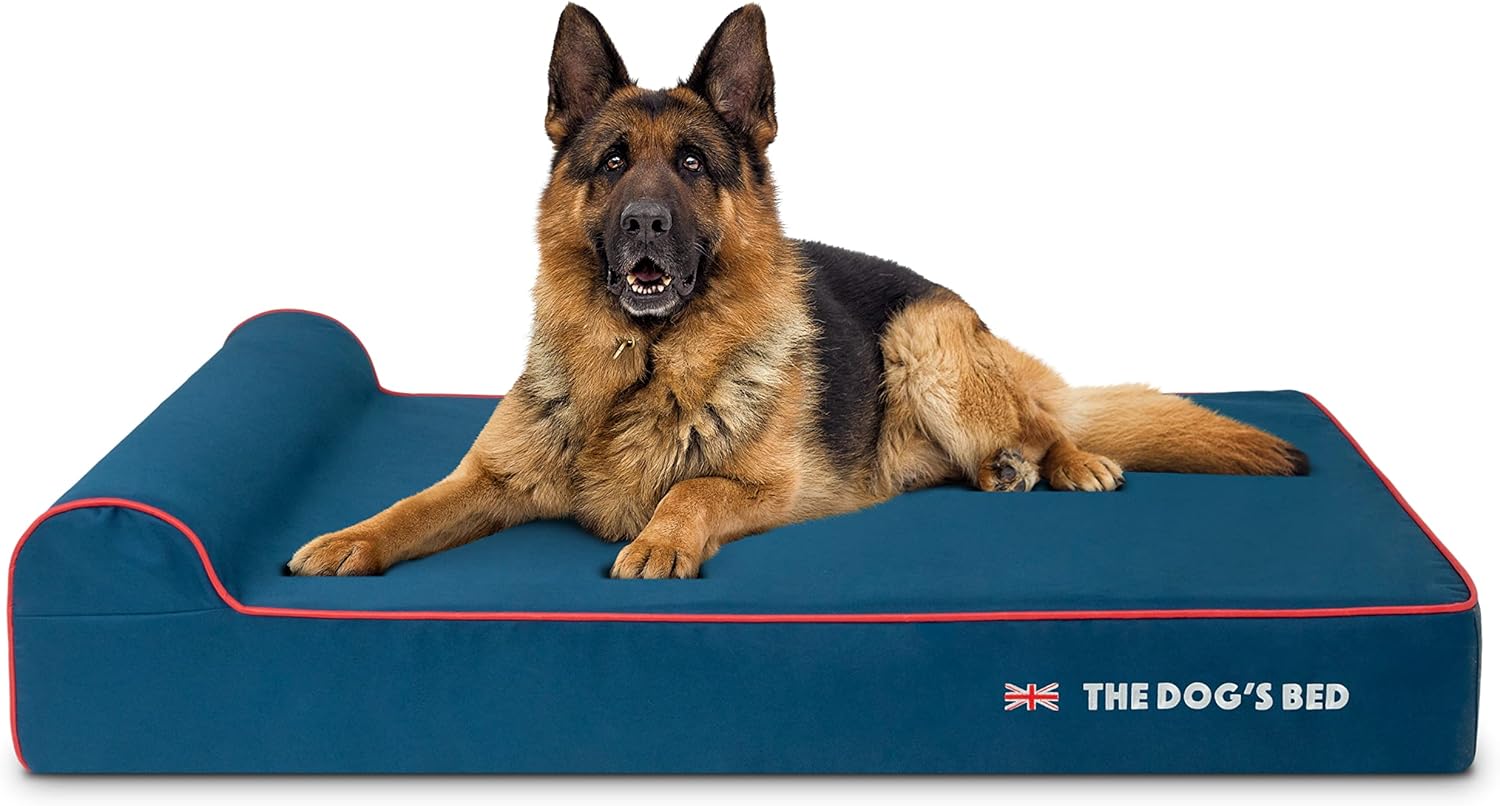 The Dog’s Bed Orthopedic Headrest Dog Bed XL Blue Oxford with Red Trim UK Flag Dog Bed 46x28, Memory Foam, Hip & Elbow Dysplasia, Post Surgery, Veterinary Approved, Waterproof Washable Cover - Pet Explorer
