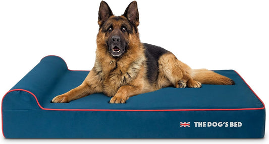 The Dog’s Bed Orthopedic Headrest Dog Bed XL Blue Oxford with Red Trim UK Flag Dog Bed 46x28, Memory Foam, Hip & Elbow Dysplasia, Post Surgery, Veterinary Approved, Waterproof Washable Cover - Pet Explorer
