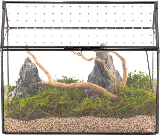 NCYP House Shape Glass Terrarium with Acrylic Lid - 10.2x5.9x8.2 Inches Large Geometric Box for Snails, Ferns, Succulents, Air Plants, Indoor Tabletop Decor, Handmade (Terrarium Only) - Pet Explorer