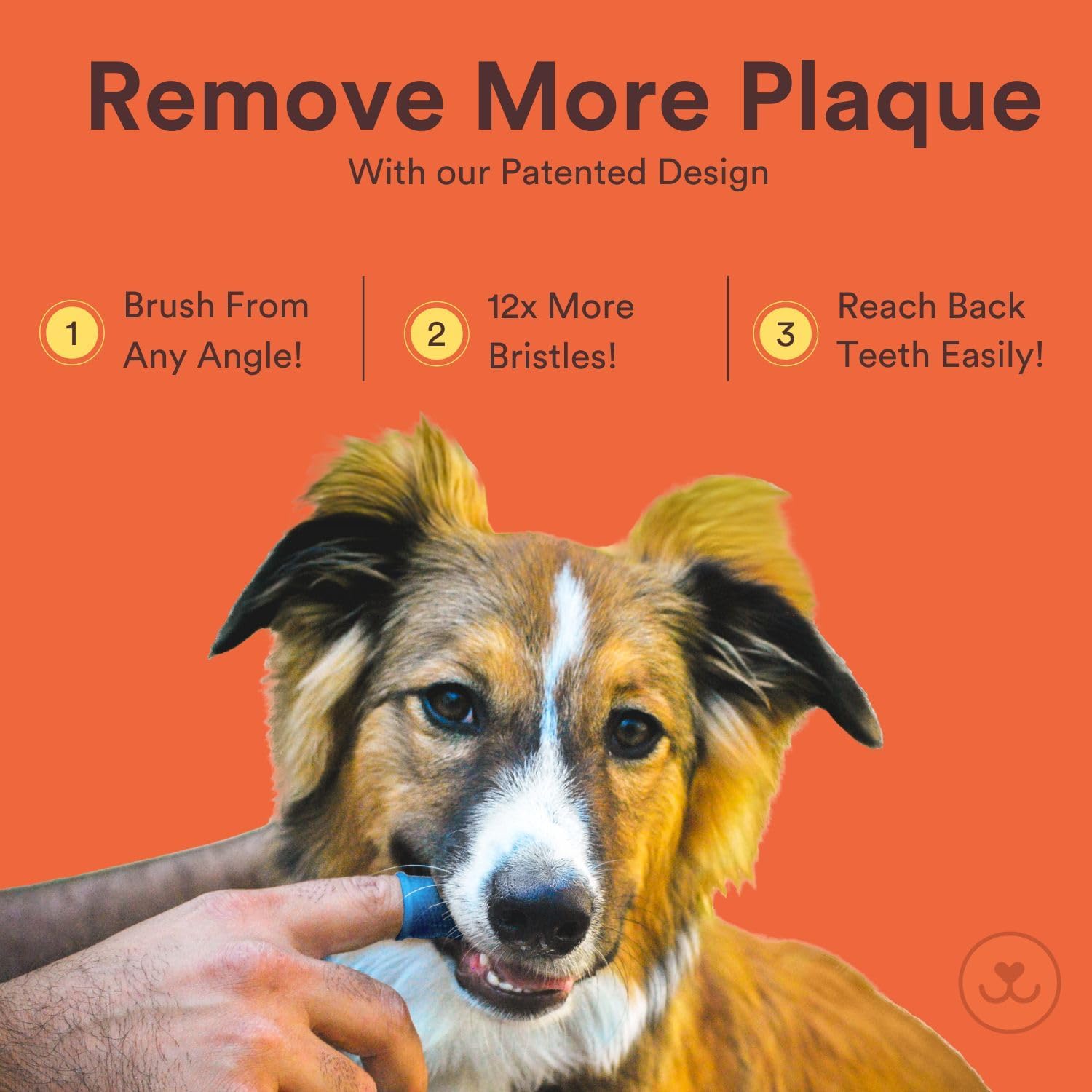 Jasper Dog Toothbrush, 360 Degree Pet Tooth Brushing Kit, Cat Toothbrush, Canine Dental Care & Teeth Cleaning Kit, Pet Finger Tooth Brush, Use with Dog Toothpaste, 4-Pack Multicolor - Pet Explorer