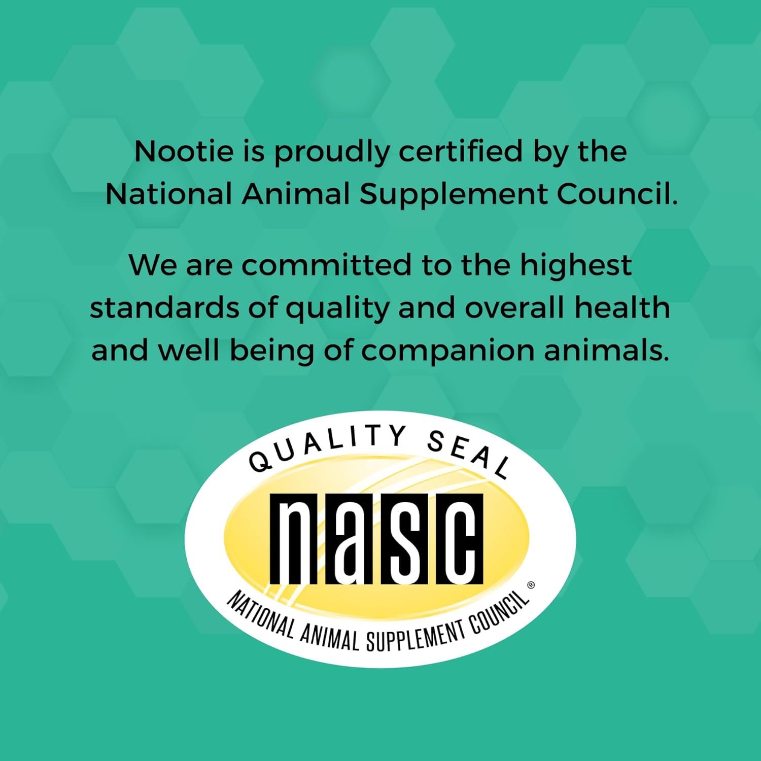 Nootie PROGILITY Daily Mini Multivitamin Chews for Dogs - Supports Immunity, Heart, Eye, Brain, and Bone Health with Taurine- for All Dog Sizes - 60 Soft Chews - Sold in Over 5,000 Pet Stores - Pet Explorer