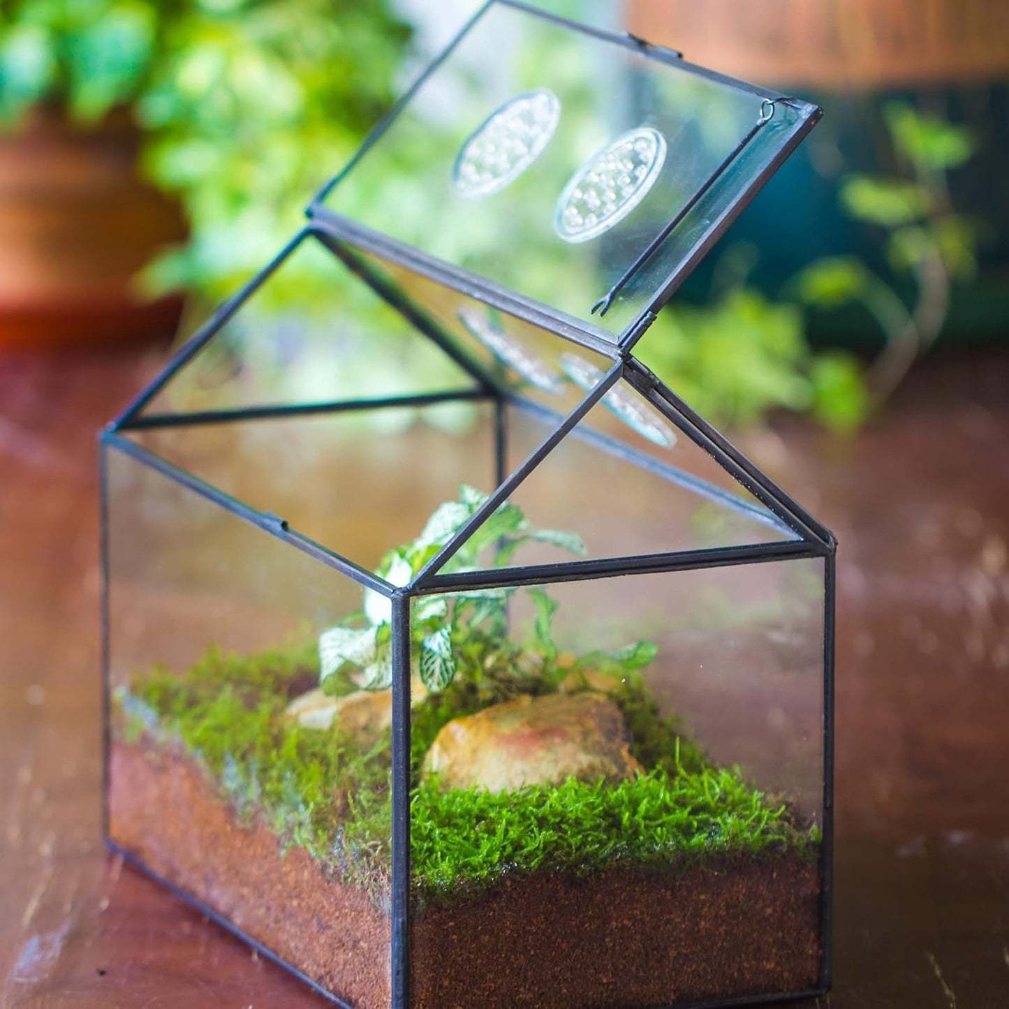 NCYP Glass Terrarium with Lid and Air Holes for Snails, Succulents Plants, Small Cactus - 10.2" x 5.9" x 8.2" House Shape Geometric Clear Box, Indoor Tabletop Decor Black (Terrarium Only) - Pet Explorer
