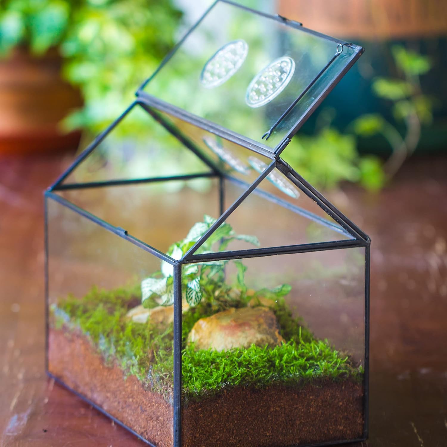 NCYP Glass Terrarium with Lid and Air Holes for Snails, Succulents Plants, Small Cactus - 10.2" x 5.9" x 8.2" House Shape Geometric Clear Box, Indoor Tabletop Decor Black (Terrarium Only) - Pet Explorer