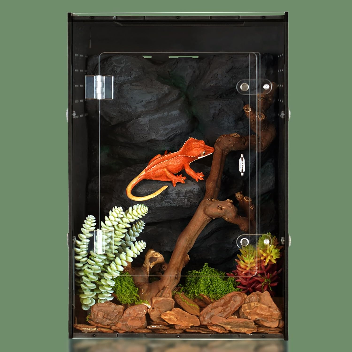 12x12x18 Reptile Enclosure – Acrylic Reptile Tank for Gecko, Snake, and Lizard – Compact PVC Terrarium for Small Pets - Pet Explorer