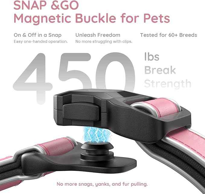 WhoseID Premium Leather Dog Collar - AirTag Dog Collar | Fur-Safe Magnetic Buckle | IPX8 Waterproof Reflective Small Dog Collar with AirTag Holder