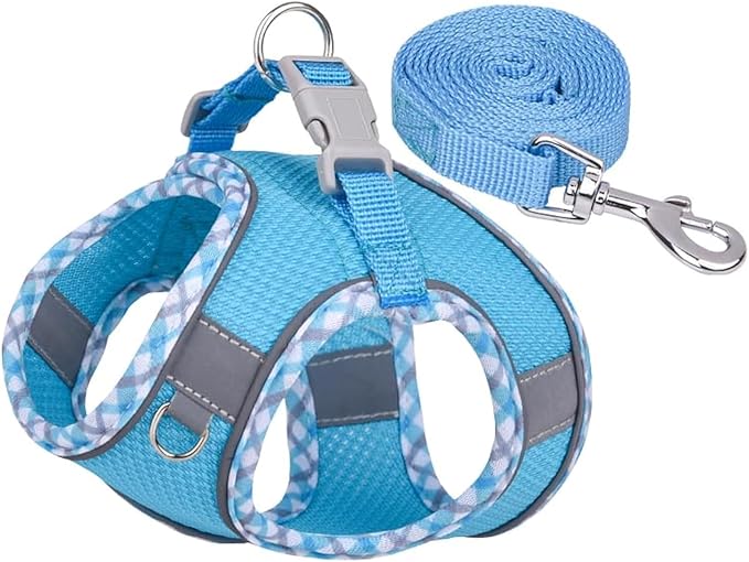 Dog Harness and Leash Set, No Pull Adjustable Reflective Pet Harness for Small Medium Dogs, Step in Vest Harness Easy Walk Dog Harness Outdoor Hiking Training for Small Dogs, Cats(Blue, XS)