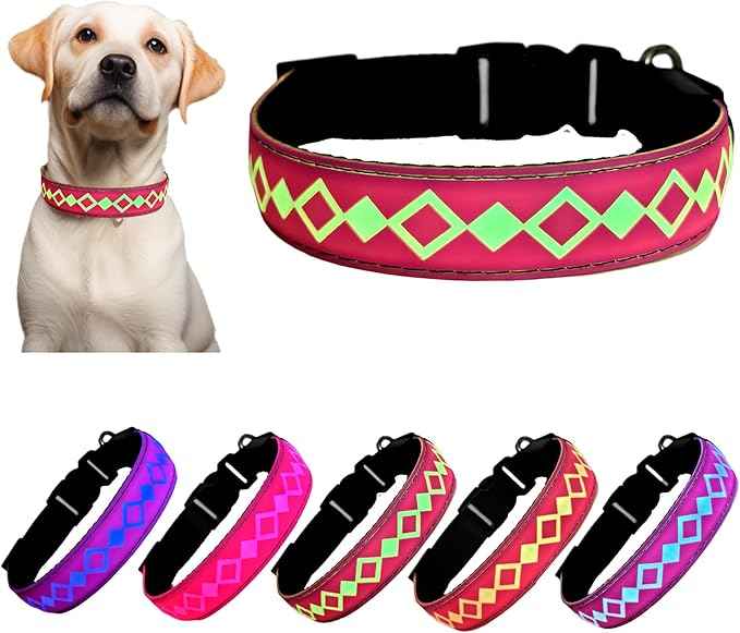 LED Dog Collar with AirTag Holder and Custom ID Tag, 15 Light Modes, Waterproof, Multiple Colors (PINK, L(15.7-19.7"))