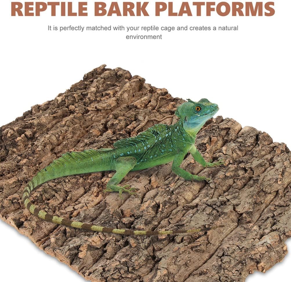 Totority Cork Bark 3Pcs Plants Decor Cork Terrarium Background, Cork Tile Background Decorative Tree Bark Adornment Reptile Climbing Plaything for Gecko Lizard Tortoise Frog Bearded Dragon Tank Access - Pet Explorer