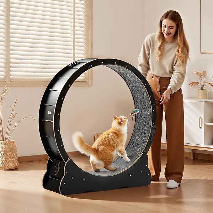 VEVOR Cat Exercise Wheel, 48 in Wooden Cat Running Wheel for Indoor Cats up to 28 lbs, Cats Treadmill with Carpeted Runway & Locking Mechanism, Quiet Kitten Sport Toys for Pets Fitness & Health, Black