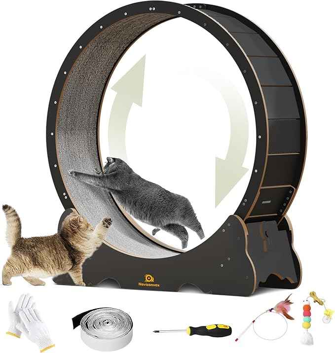 Cat Wheel, 48" XL Large Cats Exercise Running Wheel, Cat Treadmill for Indoor Cats