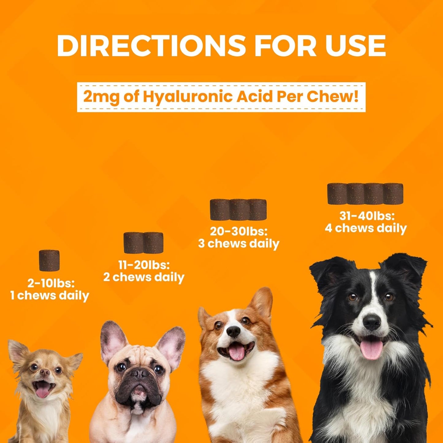 Nootie Progility Mini Hip & Joint Small & Medium Breed Chew Supplement for Dogs, 60 Count - Pet Explorer