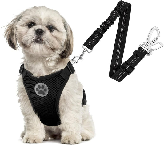 SlowTon Dog Seat Belt Harness for Car, Dog Car Harness Adjustable Mesh Breathable & Dog Seatbelt Safety Tether with Elastic Bungee for Small Medium Large Pets(Black, Double Clip, XS) - Pet Explorer