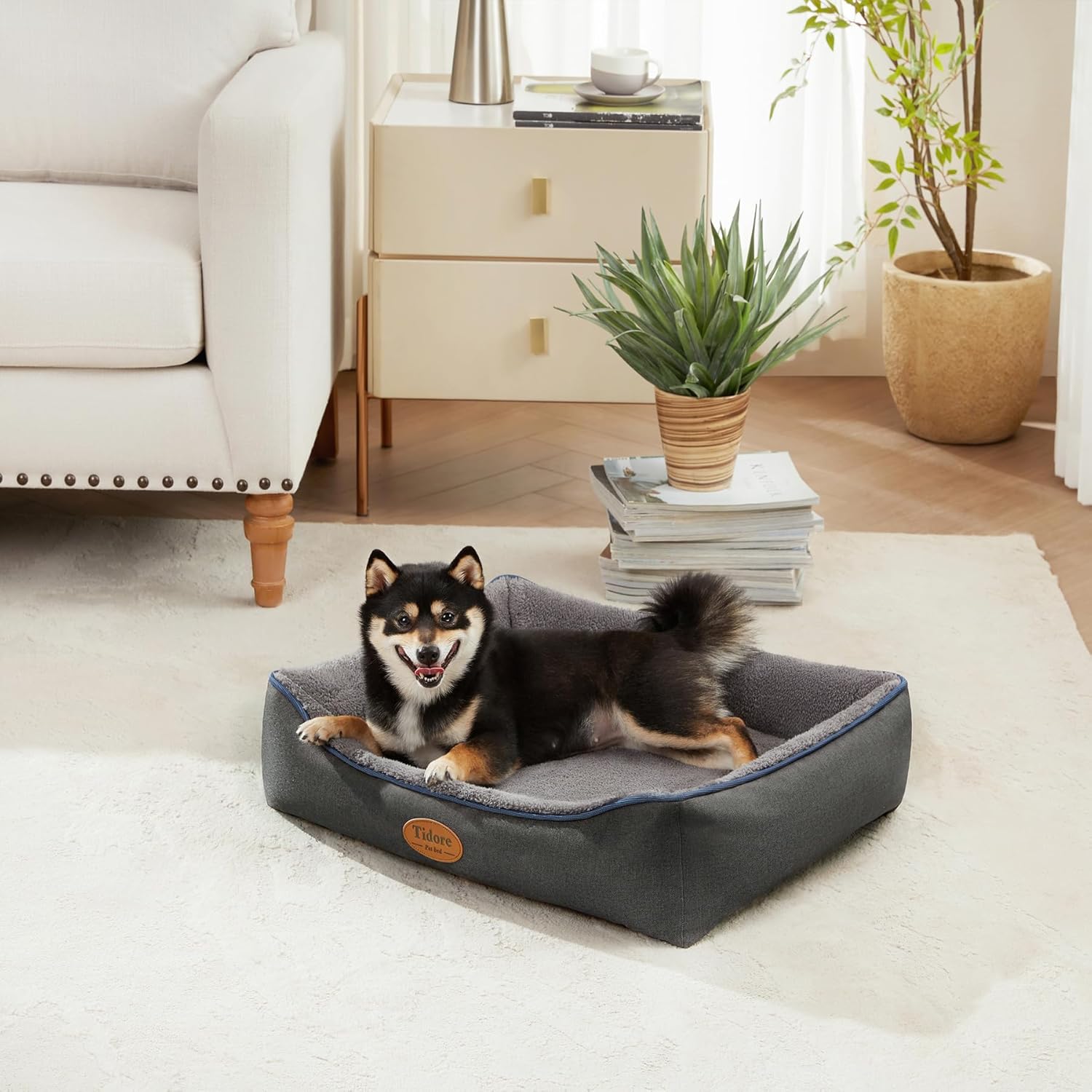 Orthopedic Dog Beds for Medium Dogs, Durable Egg Crate Foam Sofa Dog Bed wit Washable Removable Cover,Waterproof Lining,Pet Bed for Large Dogs (Dark Grey-Velvet, 26.4" L x 21.7" W x 6.2" Th) - Pet Explorer