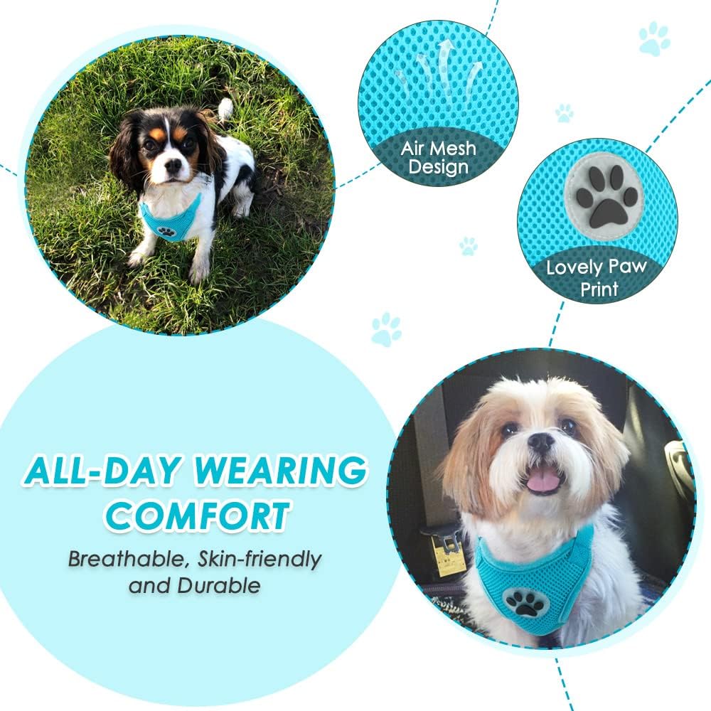 Lukovee Dog Seat Belt for Car, Adjustable Dog Car Harness for Large Medium Small Dogs, Soft Padded & Breathable Mesh Dog Seatbelt with Car Strap and Carabiner(Light Blue Double Clip,Small) - Pet Explorer