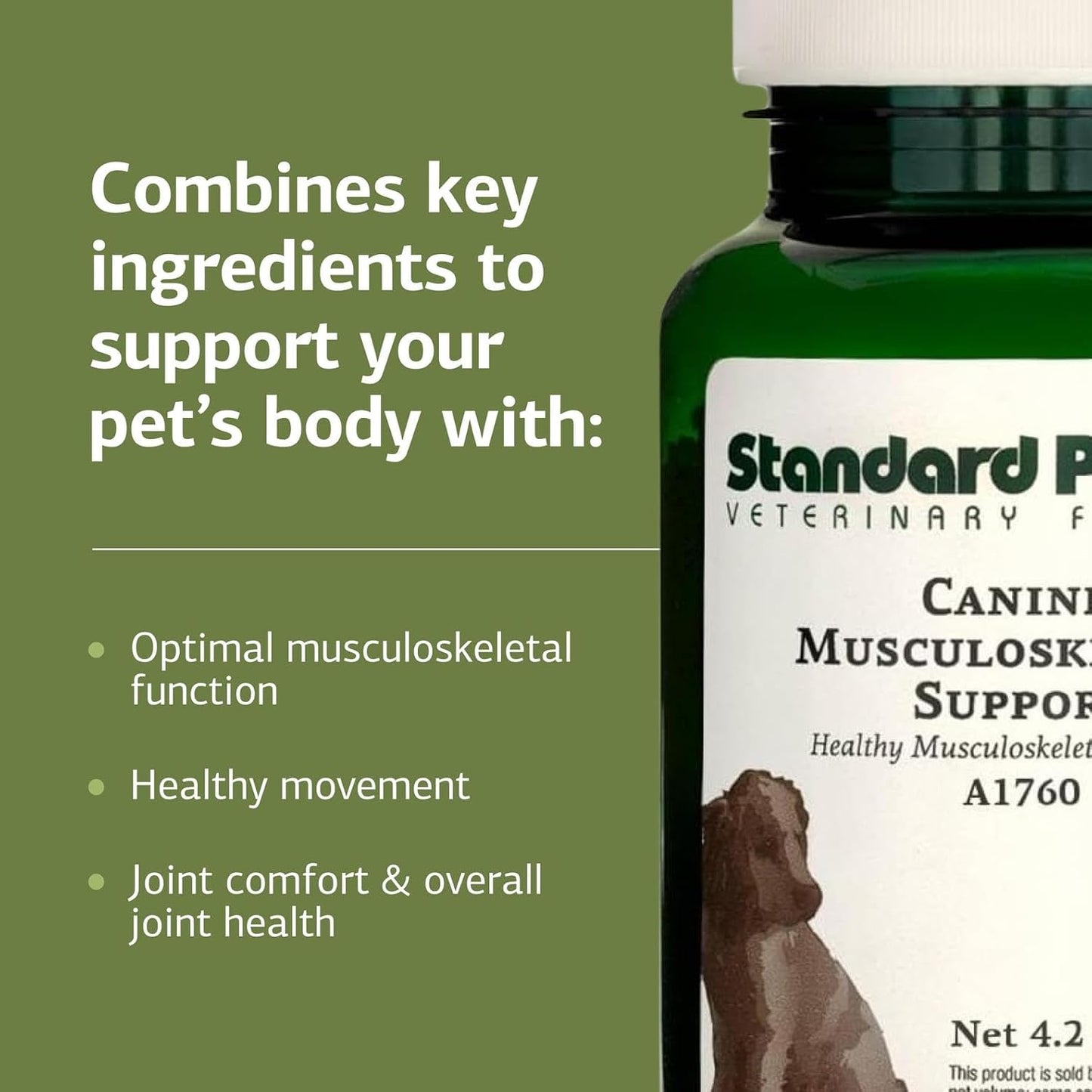 Standard Process Canine Musculoskeletal Support - Bone & Joint Health Formula for Pets - Canine Musculoskeletal Support Supplement - Supplement for Dogs to Aid Joint Comfort & Muscle Health - 120 g - Pet Explorer