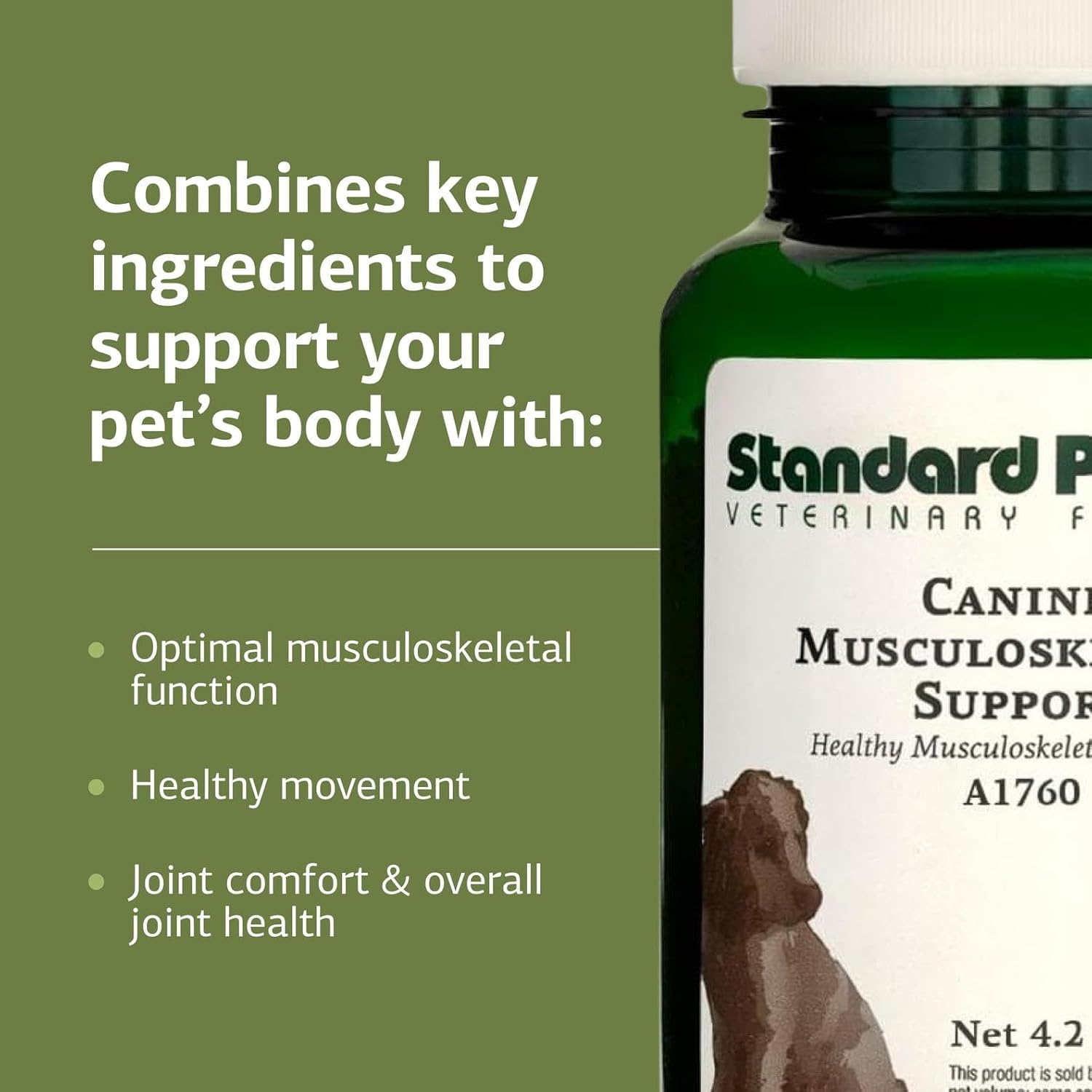 Standard Process Canine Musculoskeletal Support - Bone & Joint Health Formula for Pets - Canine Musculoskeletal Support Supplement - Supplement for Dogs to Aid Joint Comfort & Muscle Health - 120 g - Pet Explorer