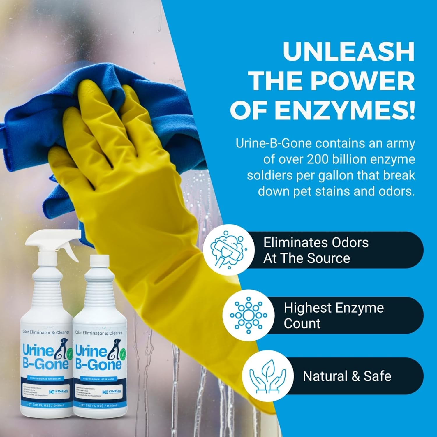 KINZUA ENVIRONMENTAL Urine B-Gone, Professional Enzyme Odor Eliminator & Pet Stain Remover, Human, Cat & Dog Urine Cleaner, Effective on Laundry, Carpets & More, Original Scent, 32oz, Pack of Two - Pet Explorer