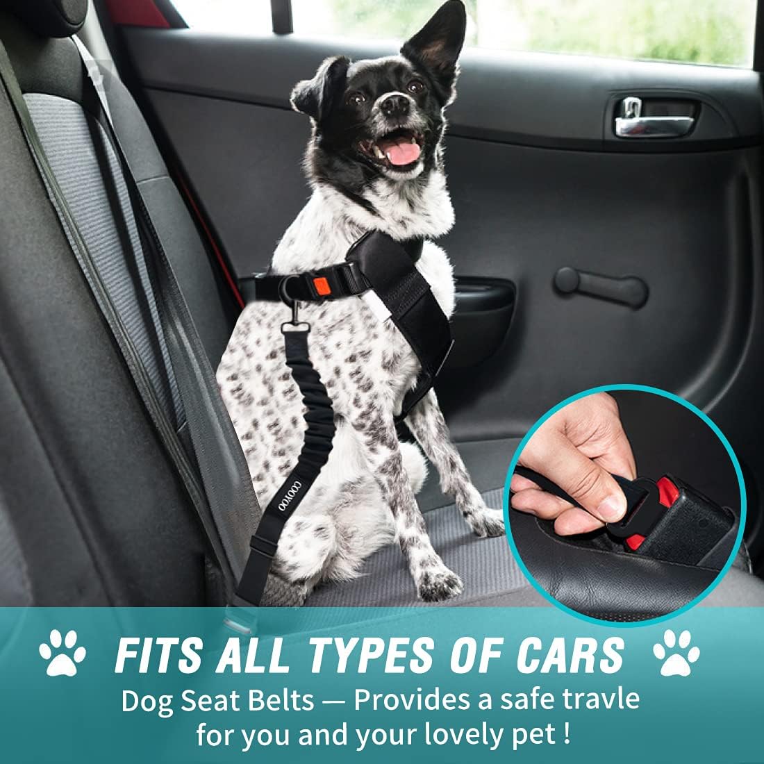 COOYOO Dog Seat Belt,3 Piece Set Retractable Dog Car Harness Adjustable for Vehicle Nylon Pet Safety Heavy Duty & Elastic - Pet Explorer