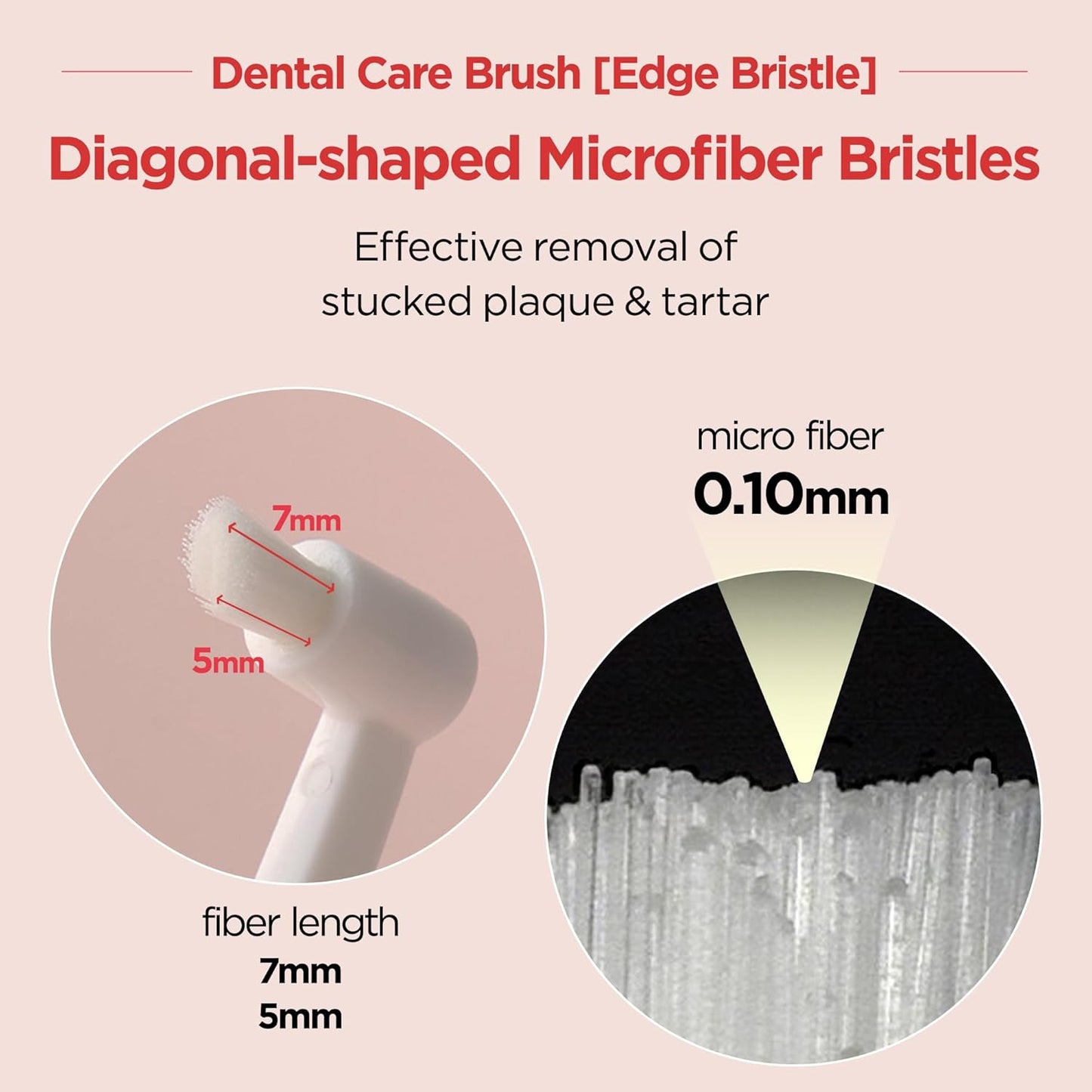 JAYU PET Dental Care Brush (Edge Bristles) 1ea - Micro Round Head Dog Toothbrush, Cat Toothbrush, Dental Care, Perfect for Kitten & Small Breed with End-tuft Diagonal-Shaped Bristle & Easy Grip Handle - Pet Explorer