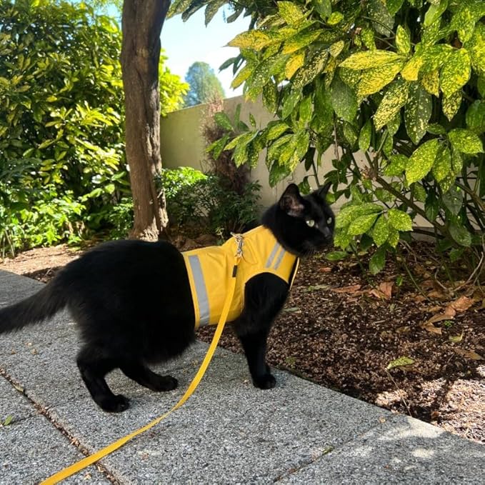 CAT SCHOOL Cat Harness and Leash Set for Outdoor Walks, Training, and Travel, Secure, Soft, Comfortable Cat Vest Harness with 10' Long Cat Leash, Easy to Use (Yellow, XS)