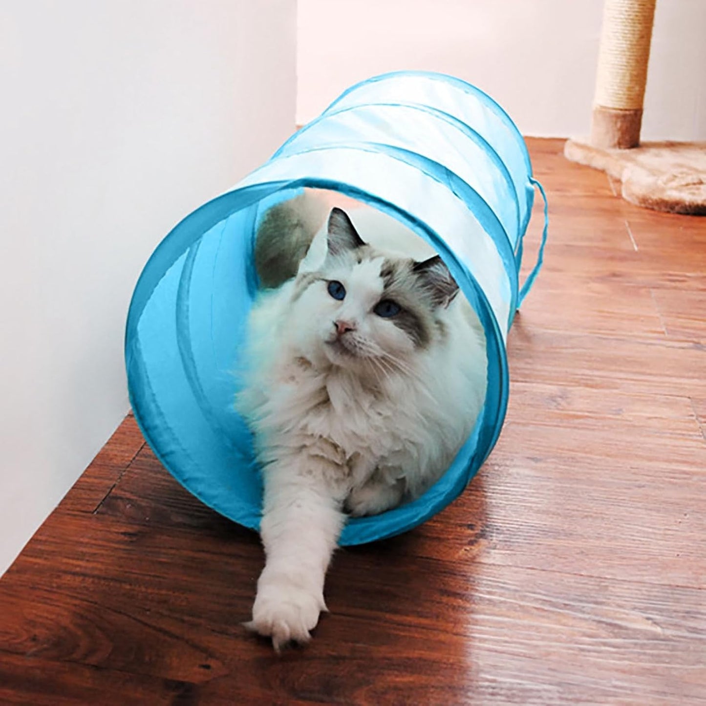 iCAGY Foldable Spiral Cat Tunnel - Indoor Toy for Small Cats, Kittens, and Rabbits - Tube for Interactive Play and Outdoor Fun - Pet Activity Toy 20" 3 Pcs