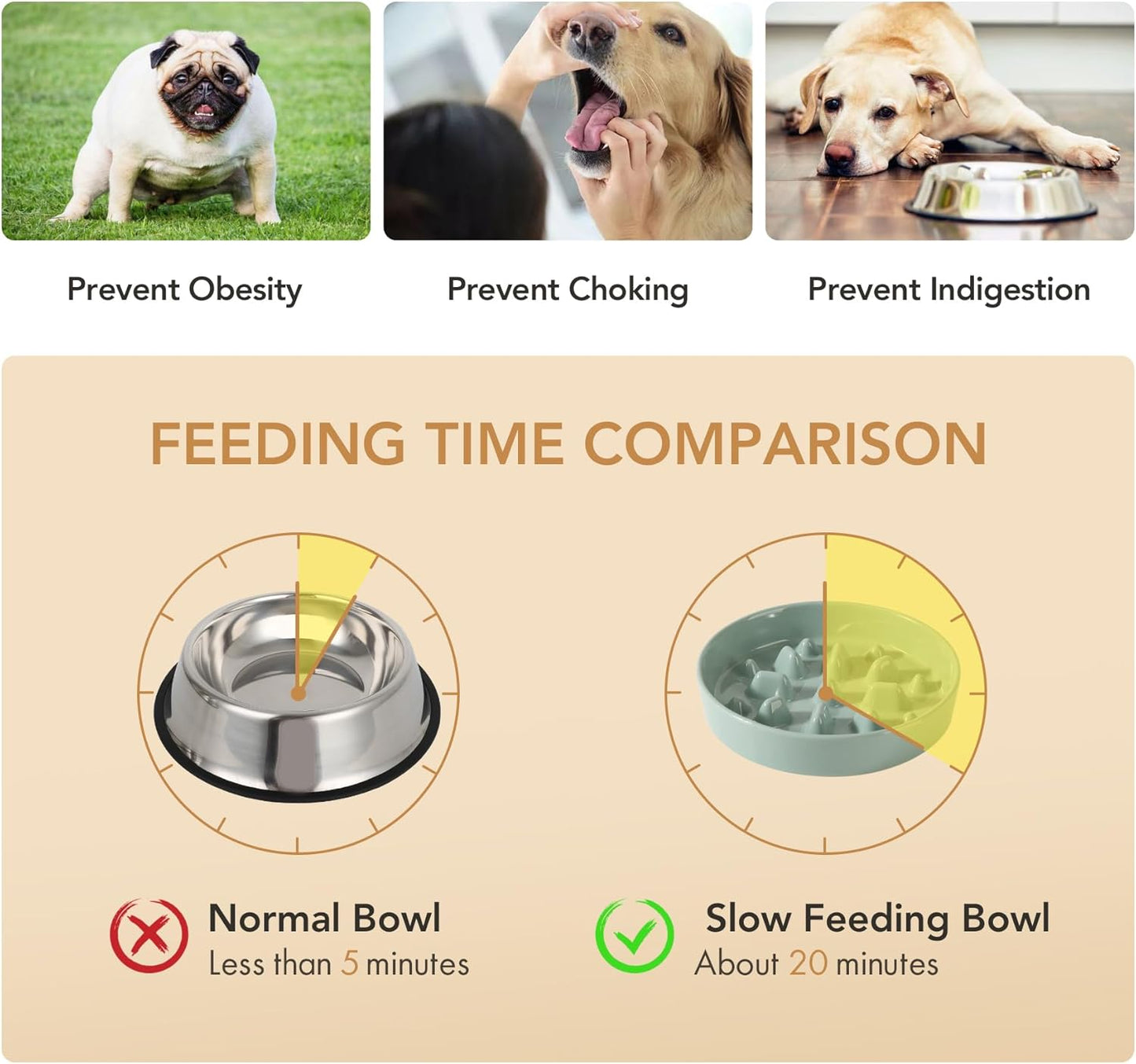 8.2inch Ceramic Dog Raised Slow Feeder Set, Elevated Bowl with Wooden Stand for Large and Medium Dog, Slow Feeder Dish for Fast Easters, Stop Bloat(Light Green, Single Bowl+ Stand) - Pet Explorer