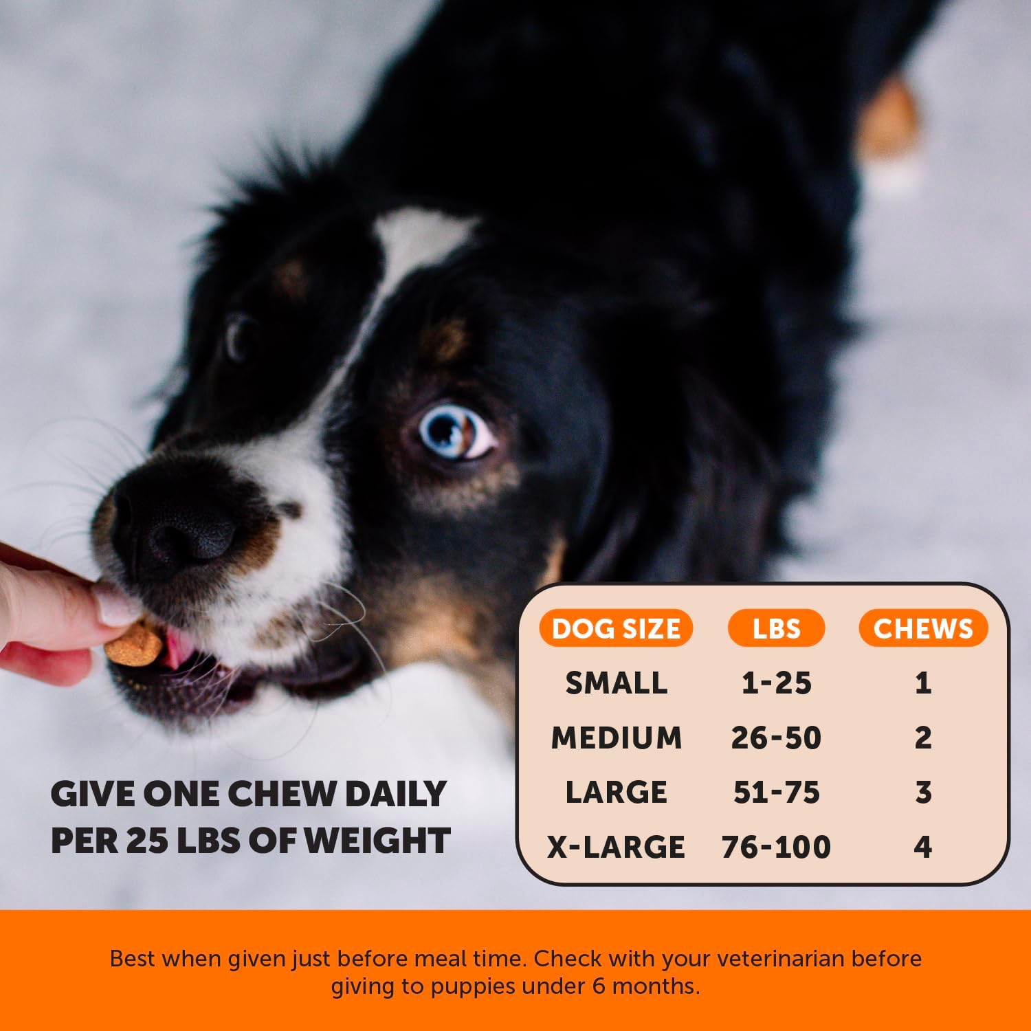 Hip & Joint Turmeric Health - Joint Supplement for Dogs, Omega-3 Fish Oil, Turmeric to Support Overall Health & Ease Stiffness - Advanced Pet Mobility Support - 90 Ct (Pumpkin) - Pet Explorer