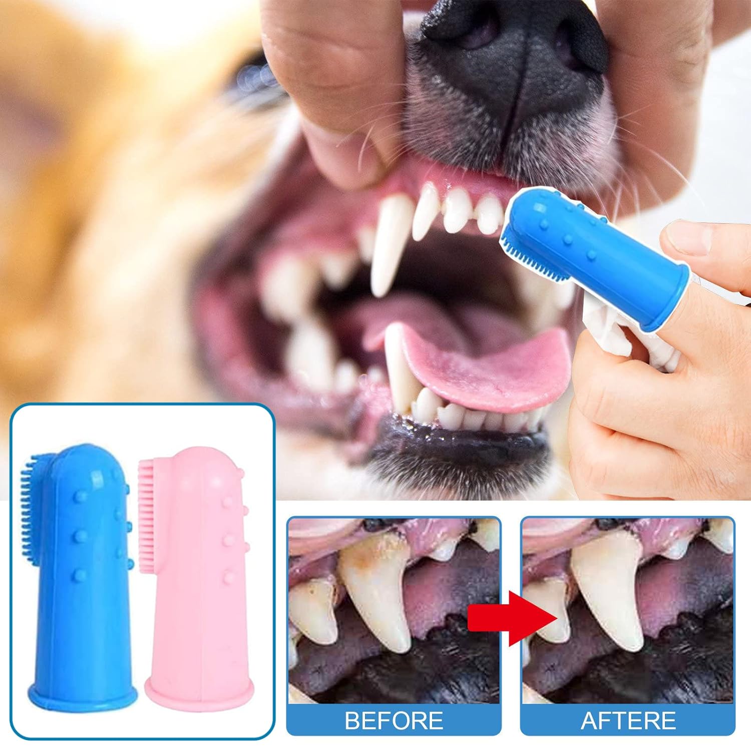 8 Pack Small Dog & Cat Toothbrush Kit, 360º Pet Toothbrush/Mini Head/Dual Head / 10000 Ultra-Soft Bristles Tooth Brush/Finger Toothbrushs for Cat Kitten Doggie Dental Care, Oral Hygiene - Pet Explorer