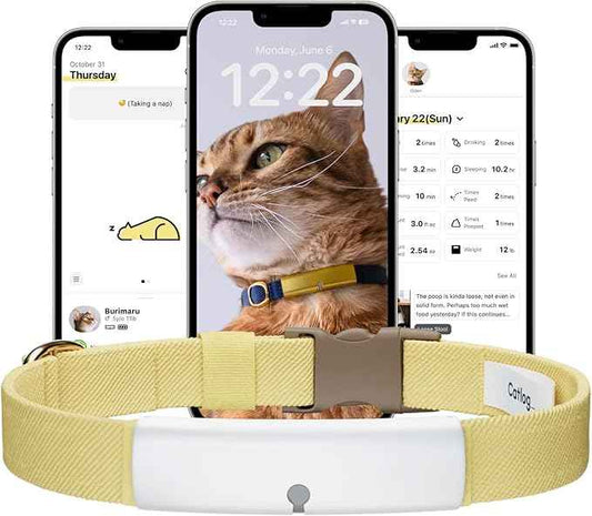 Health Tracker for Cats - Smart Cat Collar with Safety Breakaway Buckle for Indoor Cats, Wellness Alerts, Real-time Monitoring (White×Yellow,M)