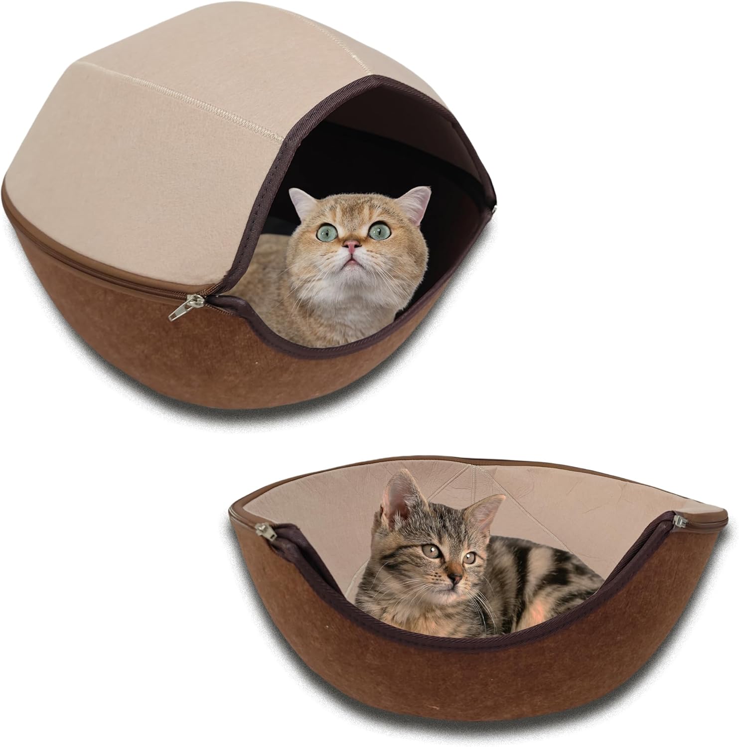Donut Cat Tunnel Bed Peekaboo Cat Cave for Large Cats Up to 30 Lbs, Kitty Interactive Playing Tent House for Multiple Cats,Detachable,Scratch Resistant (2 in 1 Brown, Medium - 20 Inch Diameter) - Pet Explorer