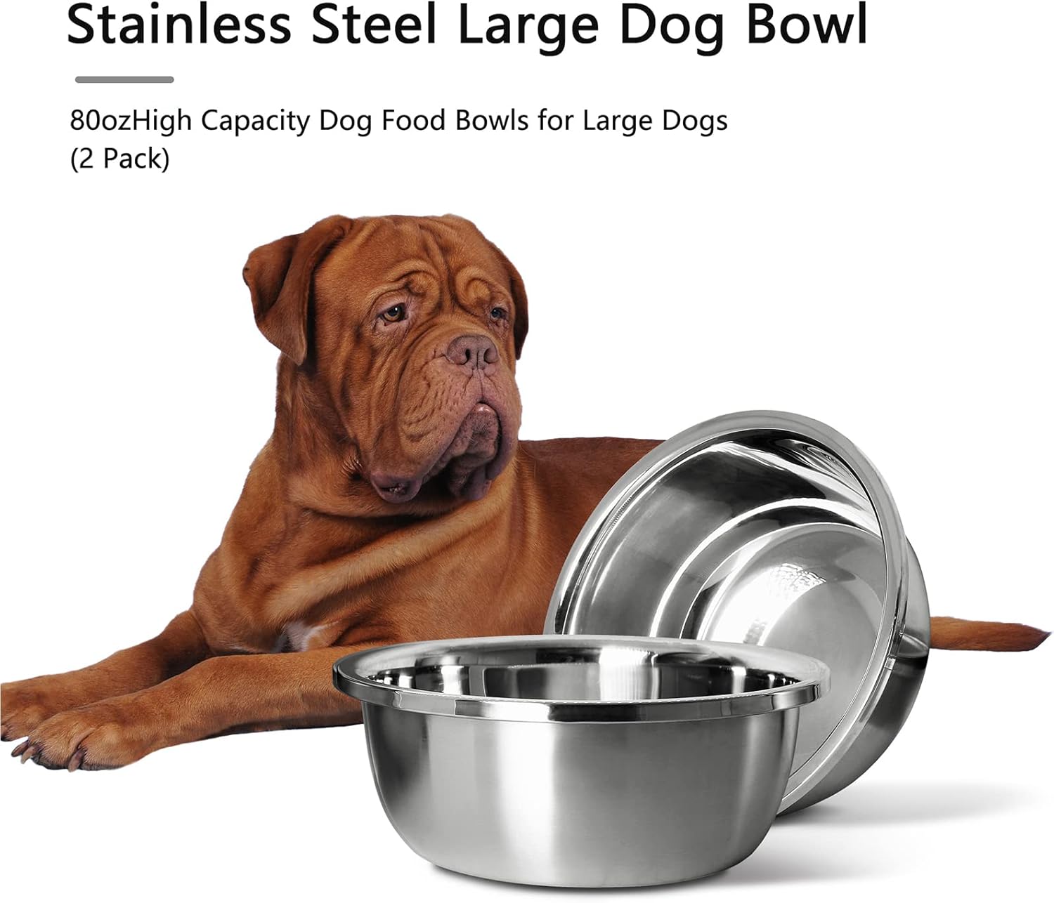 Stainless Steel Large Dog Food Bowl, 66 oz (10cup) Large Capacity Dog Water Bowl, Heavy Duty, BPA Free for Medium Dogs (2 pcs) - Pet Explorer