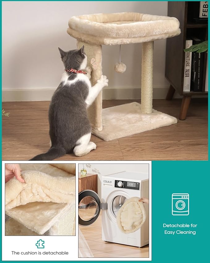 SYANDLVY Small Cat Tree for Indoor Cats, Scratching Board with Perch, Scratching Post for Small Cats, Kittens Scratcher with 2 Dangling Balls, Beige