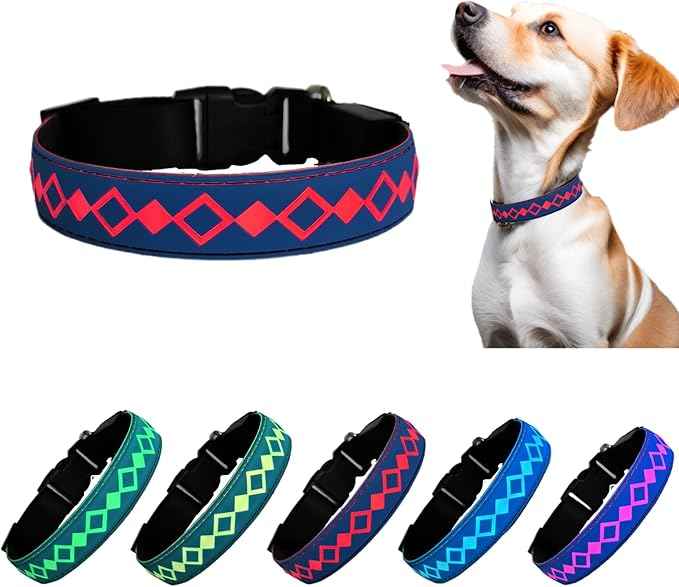 LED Dog Collar with AirTag Holder and Custom ID Tag, 15 Light Modes, Waterproof, Multiple Colors (BLUE, S(7.87-11.8"))