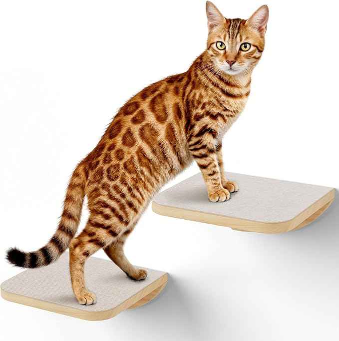 Wall Mounted Cat Steps 2 Pack – Square Wood Cats Shelves with Felt Cushions for Climbing, Jumping & Resting