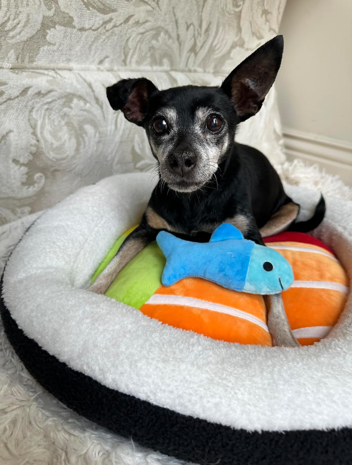 TONBO Soft Plush Small Cute and Cozy Food Dog Cat Bed, Washer and Dryer Friendly (Sushi Roll) - Pet Explorer