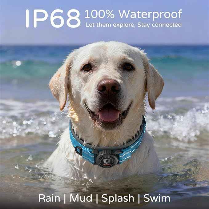 Upgraded AirTag Dog Collar with Holder, Waterproof Reflective Air Tag Dog Collar with Widened Comfortable Padding & Ultra-Durable Metal Buckle, Adjustable for Large Dogs (L, Blue)