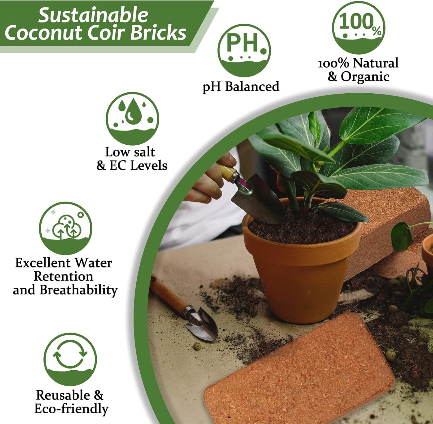Riare 4pcs Organic Coco Coir Bricks Soil Blocks- 100% Natural Compressed Coco Peat Brick Coconut Fiber Substrate with Low EC& pH Balance, High Expansion Coco Coir Pith Coconut Husk for Garden - Pet Explorer